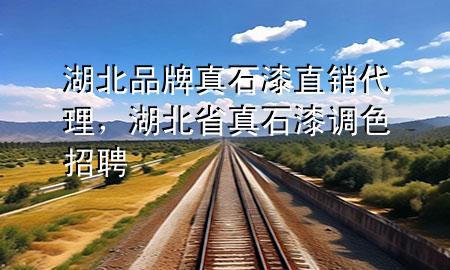 湖北品牌真石漆直銷代理，湖北省真石漆調色招聘