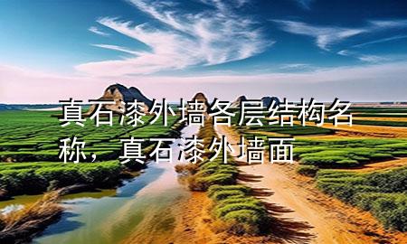 真石漆外墻各層結(jié)構(gòu)名稱，真石漆外墻面