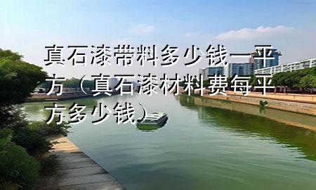 真石漆帶料多少錢一平方（真石漆材料費每平方多少錢）