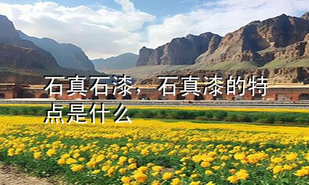 石真石漆，石真漆的特點是什么