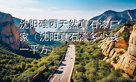 沈陽(yáng)硅丙天然真石漆廠家（沈陽(yáng)真石漆多少錢一平方）