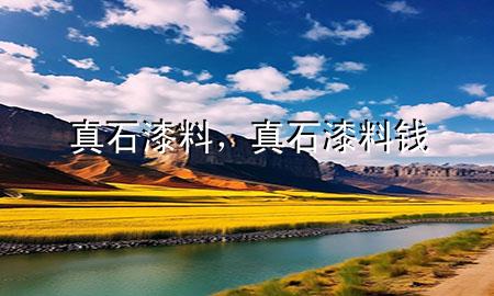 真石漆料，真石漆料錢(qián)