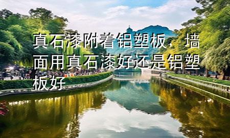 真石漆附著鋁塑板，墻面用真石漆好還是鋁塑板好