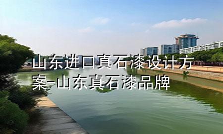 山東進口真石漆設計方案-山東真石漆品牌