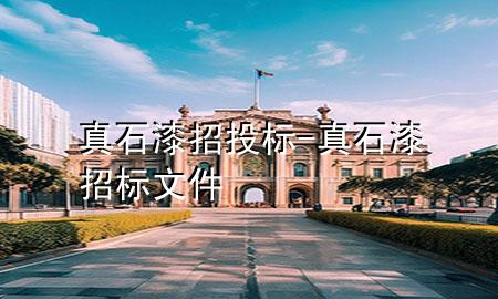 真石漆招投標-真石漆招標文件