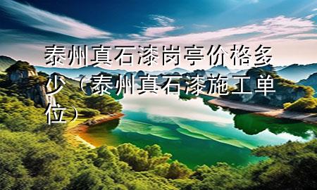 泰州真石漆崗?fù)r(jià)格多少（泰州真石漆施工單位）