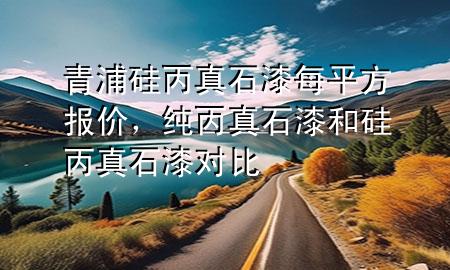 青浦硅丙真石漆每平方報(bào)價(jià)，純丙真石漆和硅丙真石漆對(duì)比