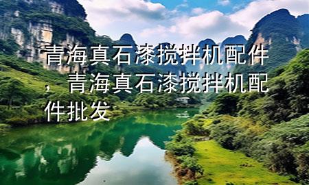 青海真石漆攪拌機配件，青海真石漆攪拌機配件批發(fā)