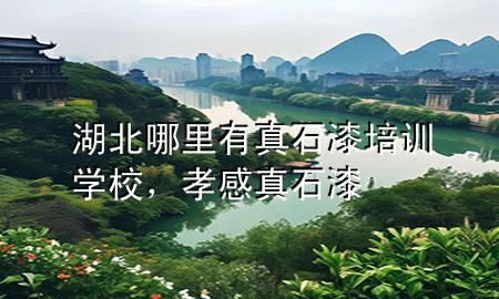 湖北哪里有真石漆培訓(xùn)學(xué)校，孝感真石漆