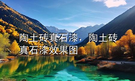 陶土磚真石漆，陶土磚真石漆效果圖