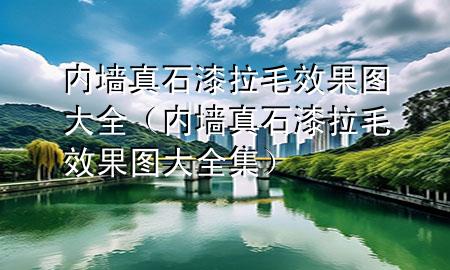 內墻真石漆拉毛效果圖大全（內墻真石漆拉毛效果圖大全集）