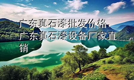 廣東真石漆批發(fā)價(jià)格，廣東真石漆設(shè)備廠家直銷