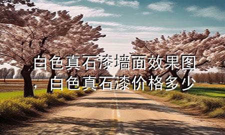 白色真石漆墻面效果圖，白色真石漆價(jià)格多少