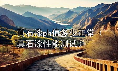 真石漆ph值多少正常（真石漆性能測試）