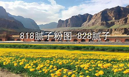 818膩?zhàn)臃蹐D-828膩?zhàn)?>
             </div>
             <!--文章無圖的情況下插入一張圖片end-->
              
      <p>大家好，今天小編關(guān)注到一個比較有意思的話題，就是關(guān)于818膩?zhàn)臃蹐D的問題，于是小編就整理了4個相關(guān)介紹818膩?zhàn)臃蹐D的解答，讓我們一起看看吧。</p><ol type=