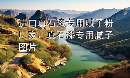 進(jìn)口真石漆專用膩?zhàn)臃蹚S家，真石漆專用膩?zhàn)訄D片