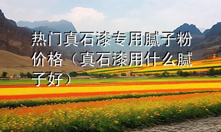 熱門真石漆專用膩子粉價格（真石漆用什么膩子好）