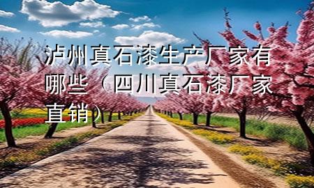 瀘州真石漆生產(chǎn)廠家有哪些（四川真石漆廠家直銷）