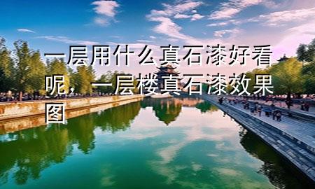 一層用什么真石漆好看呢，一層樓真石漆效果圖