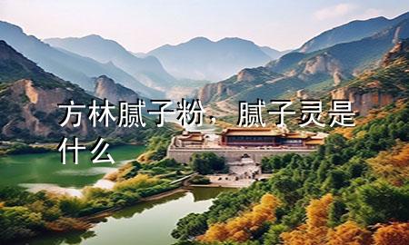方林膩子粉，膩子靈是什么