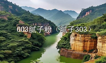 603膩?zhàn)臃郏佔(zhàn)?303）