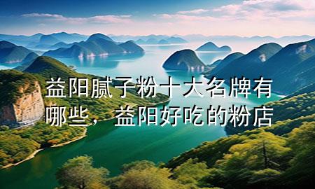 益陽膩子粉十大名牌有哪些，益陽好吃的粉店