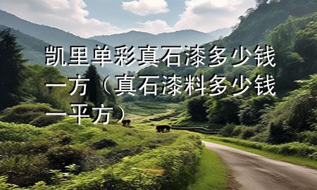 凱里單彩真石漆多少錢(qián)一方（真石漆料多少錢(qián)一平方）