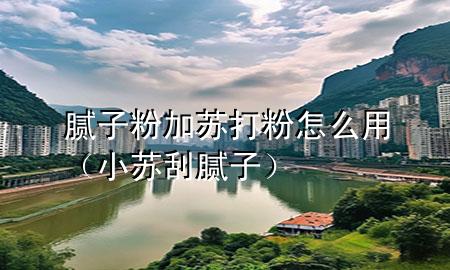 膩?zhàn)臃奂犹K打粉怎么用（小蘇刮膩?zhàn)樱?>
             </div>
             <!--文章無(wú)圖的情況下插入一張圖片end-->
              
      <p>大家好，今天小編關(guān)注到一個(gè)比較有意思的話題，就是關(guān)于膩?zhàn)臃奂犹K打粉怎么用的問(wèn)題，于是小編就整理了5個(gè)相關(guān)介紹膩?zhàn)臃奂犹K打粉怎么用的解答，讓我們一起看看吧。</p><ol type=