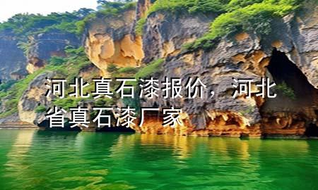 河北真石漆報(bào)價(jià)，河北省真石漆廠家