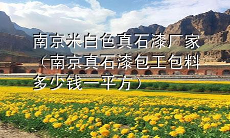 南京米白色真石漆廠家（南京真石漆包工包料多少錢(qián)一平方）