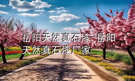 岳陽天然真石漆-岳陽天然真石漆廠家