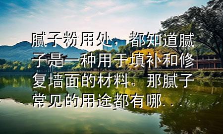 膩?zhàn)臃塾锰帲贾滥佔(zhàn)邮且环N用于填補(bǔ)和修復(fù)墻面的材料。那膩?zhàn)映Ｒ姷挠猛径加心?..