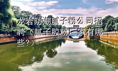 龍巖防潮膩子粉公司招聘（膩子膠粉廠家有哪些?）