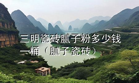 三明瓷磚膩子粉多少錢一桶（膩子 瓷磚）