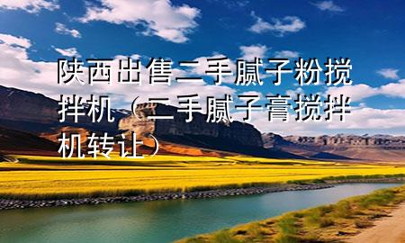 陜西出售二手膩子粉攪拌機（二手膩子膏攪拌機轉(zhuǎn)讓）