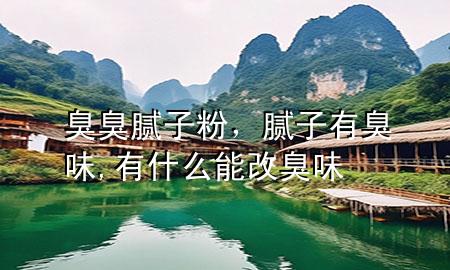 臭臭膩?zhàn)臃郏佔(zhàn)佑谐粑?有什么能改臭味