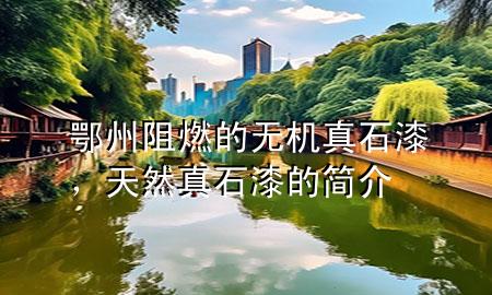 鄂州阻燃的無機(jī)真石漆，天然真石漆的簡介