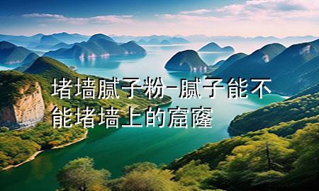 堵墻膩子粉-膩子能不能堵墻上的窟窿
