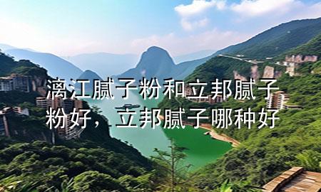 漓江膩子粉和立邦膩子粉好，立邦膩子哪種好