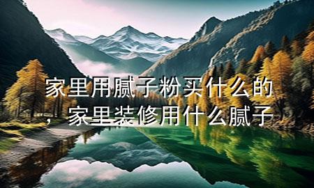 家里用膩子粉買什么的，家里裝修用什么膩子