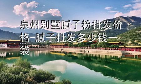 泉州別墅膩子粉批發(fā)價格-膩子批發(fā)多少錢一袋