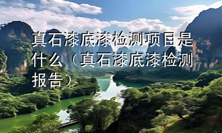 真石漆底漆檢測項(xiàng)目是什么（真石漆底漆檢測報(bào)告）