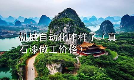機械自動化咋樣了（真石漆做工價格）