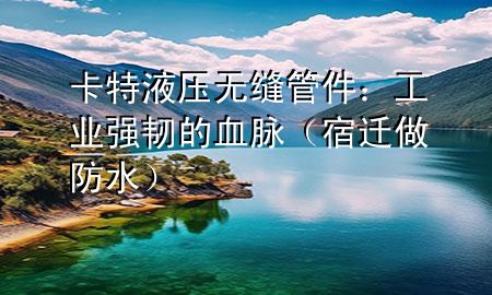 卡特液壓無縫管件：工業(yè)強(qiáng)韌的血脈（宿遷做防水）