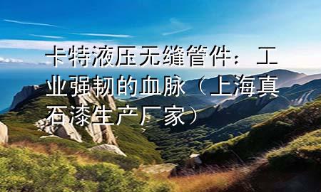 卡特液壓無(wú)縫管件：工業(yè)強(qiáng)韌的血脈（上海真石漆生產(chǎn)廠家）