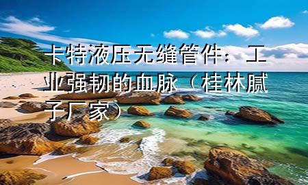 卡特液壓無縫管件：工業(yè)強韌的血脈（桂林膩子廠家）