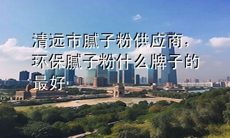 清遠市膩子粉供應商，環(huán)保膩子粉什么牌子的最好