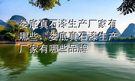 婁底真石漆生產(chǎn)廠家有哪些，婁底真石漆生產(chǎn)廠家有哪些品牌
