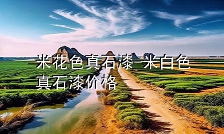 米花色真石漆-米白色真石漆價(jià)格