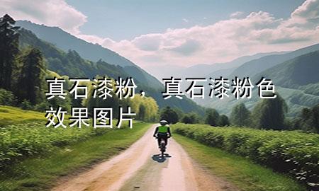 真石漆粉，真石漆粉色效果圖片